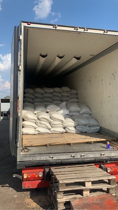 Арпа , ақбидай , ячмень , пшеница