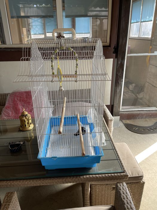 Colivie pasari cu toate accesoriile !