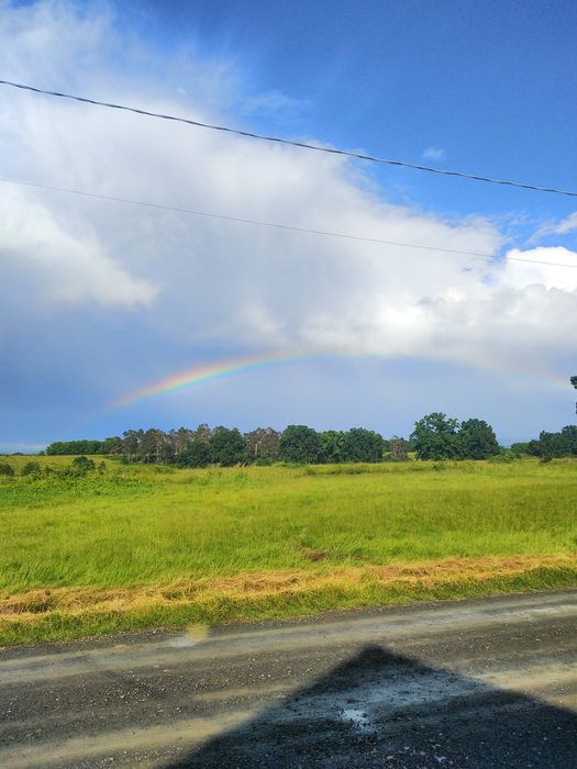 Casă de vânzare Făget (Colonia Mică)