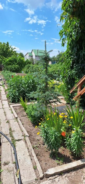 Дача возле науки