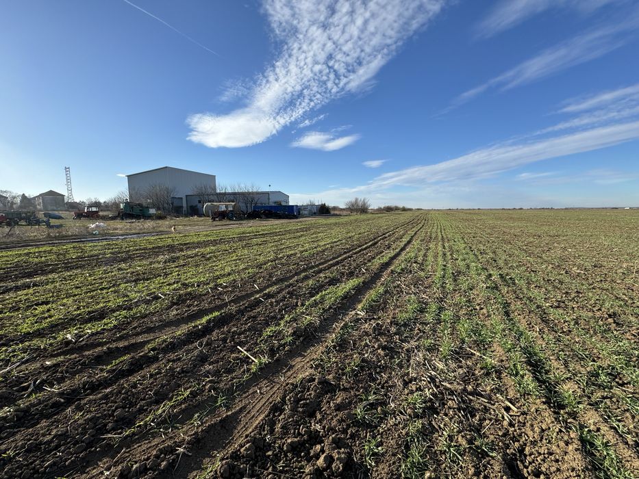 Teren 7.500 mp Dragomiresti-Vale, jud. Ilfov