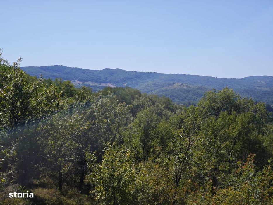 Teren intravilan cu livada 9000mp - zona Valenii de Munte