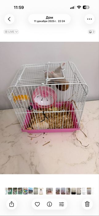 Продается клетка с хомяком