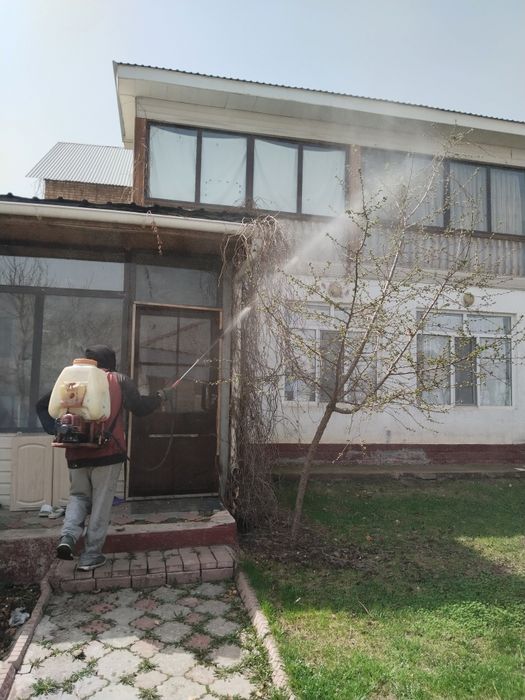 Опрыскивание плодова-ягодных деревьев