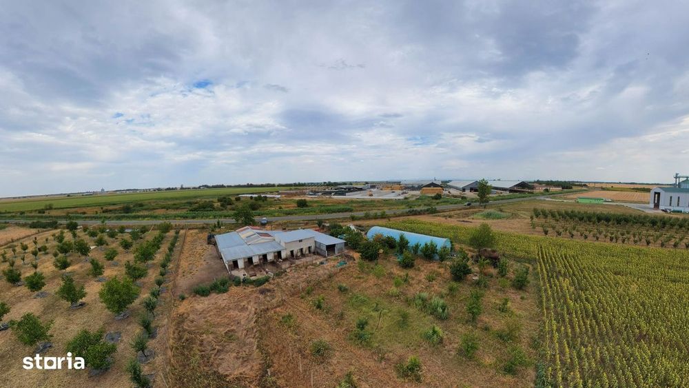 Livadă de 3,6 hectare în Iratoșu – Oportunitate