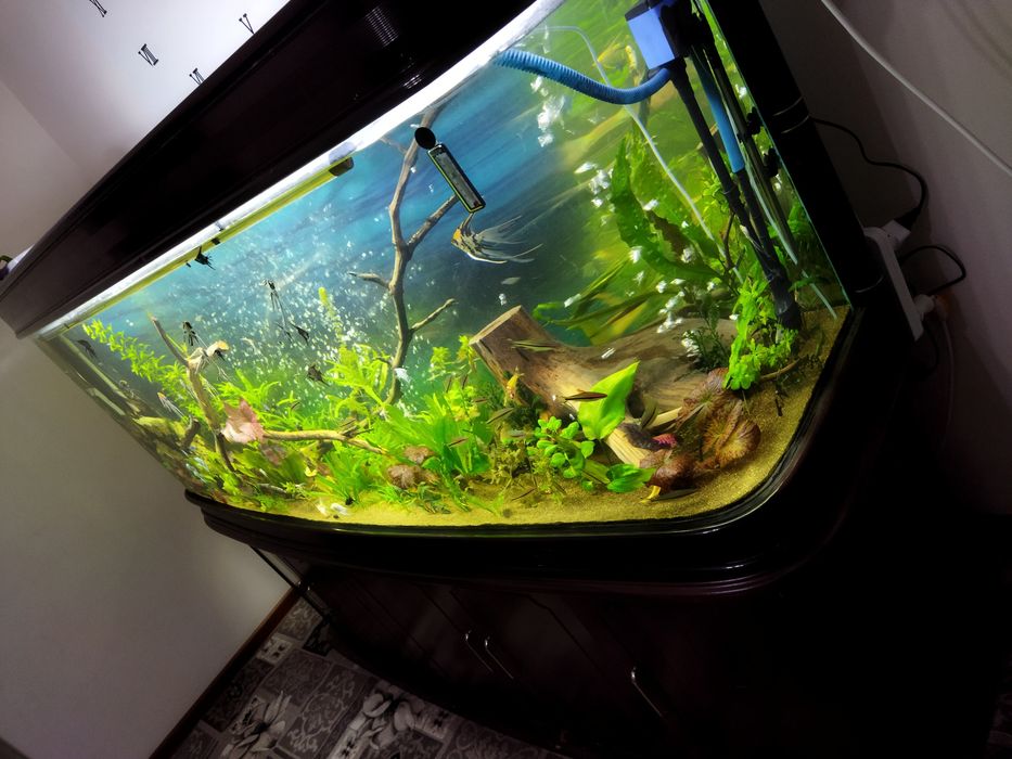 Заводской аквариум