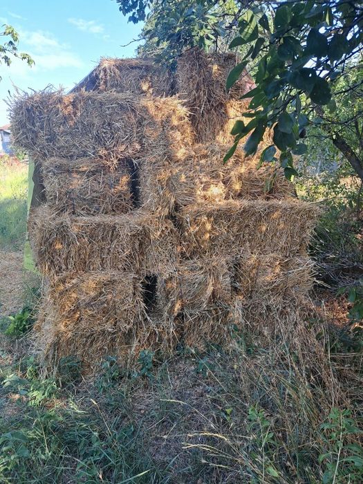 Baloți din paie de grâu