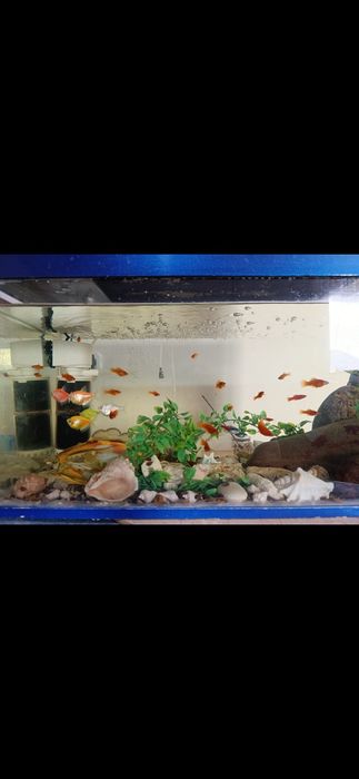 Продам 2 аквариума