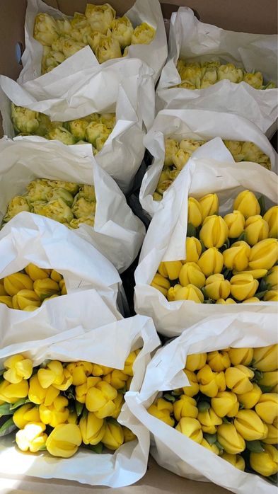 Например Цветыыы