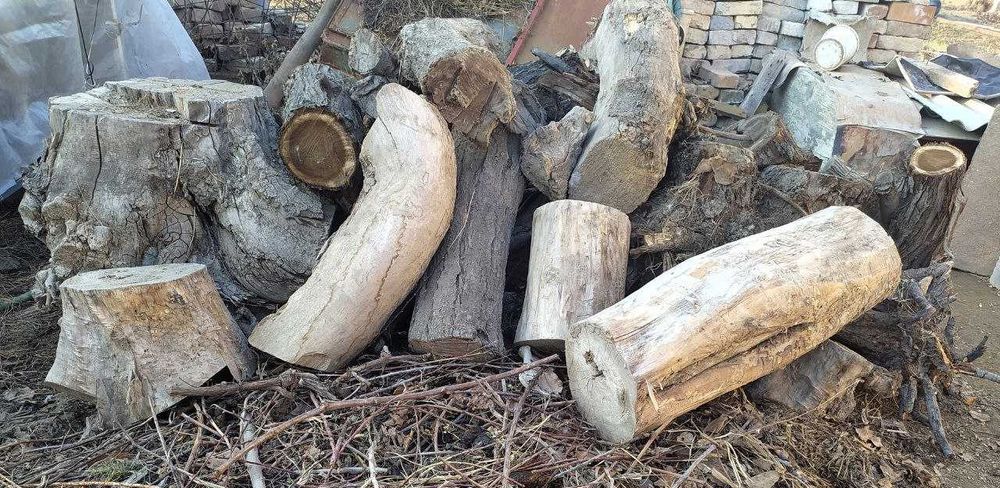 Утин сотилади. Катта дархтлар кунда ва танасилари.