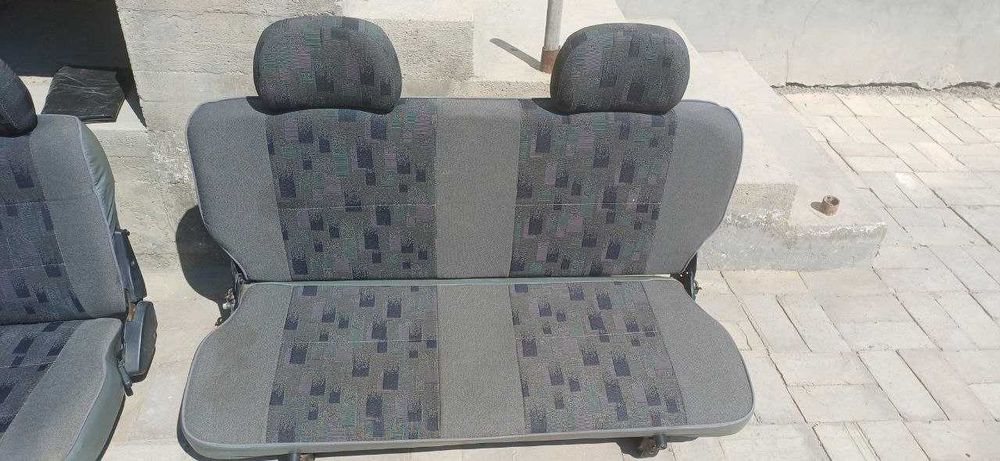 Damas sideniya 2024-yil