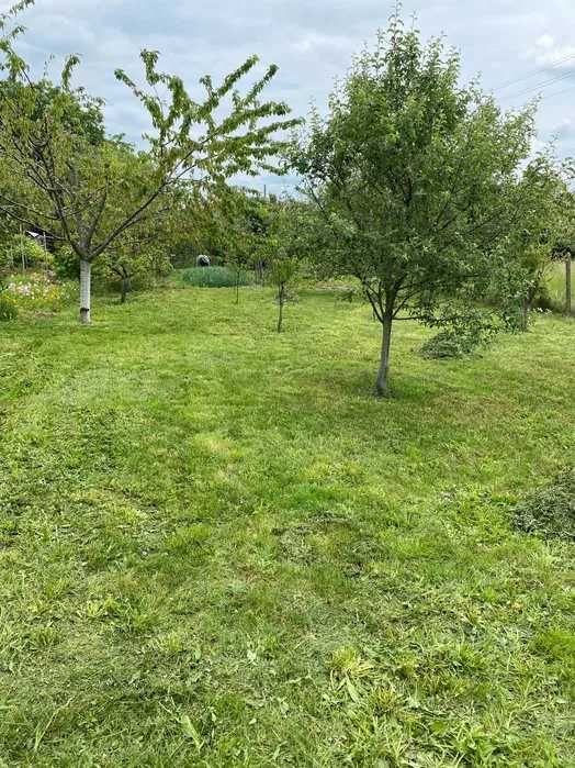 Професионална поддрържка на тревни площи. Косене на тревни площи.