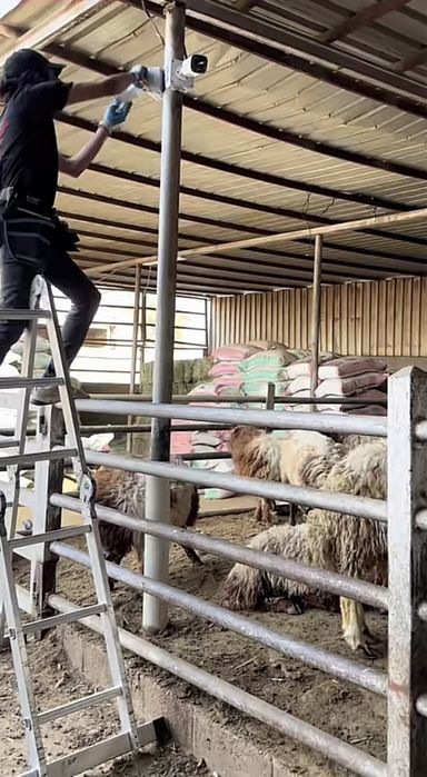 Видео пожарка Скуд