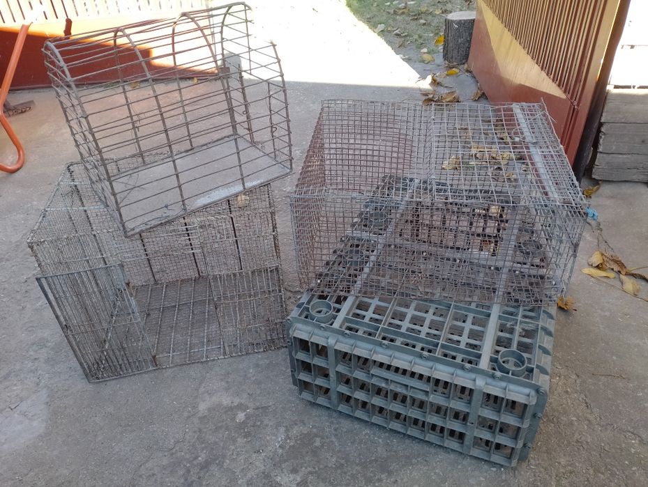 Cuști transport păsări