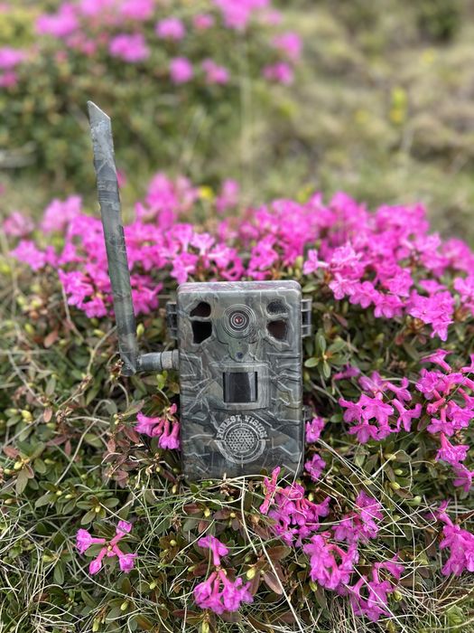 Camera vanatoare originala ForestVision Live C7 4G GPS
