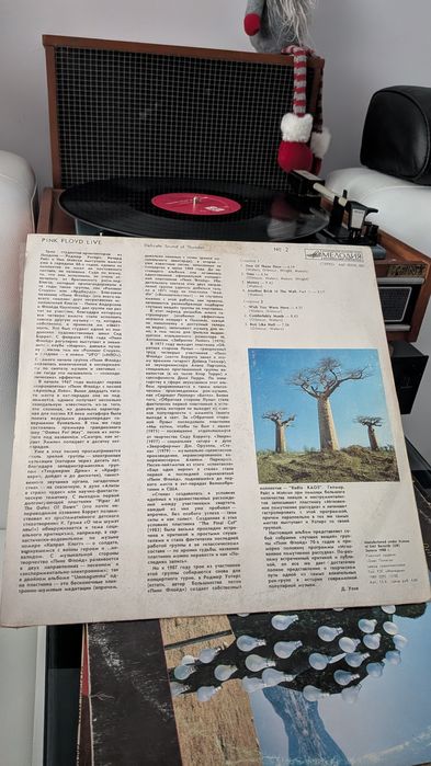 Pink Floyd -set  doua viniluri