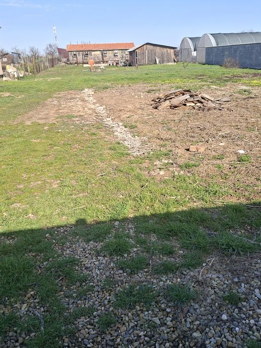 Vând teren -Livada de Bihor