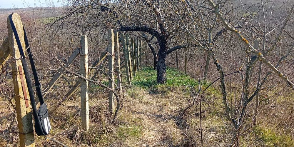 Парцел с.Звездица