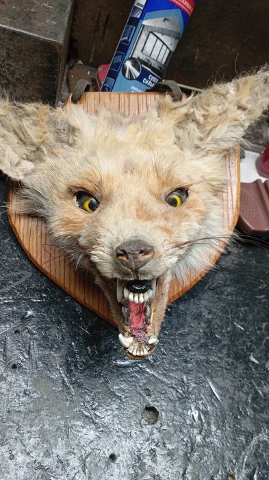 Чучило лис сувннир