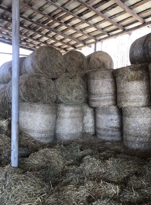 Baloti rotunzi amestec lucerna si fan de vanzare