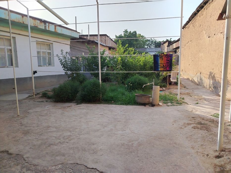 Xovli joy sotiladi 5 sotix