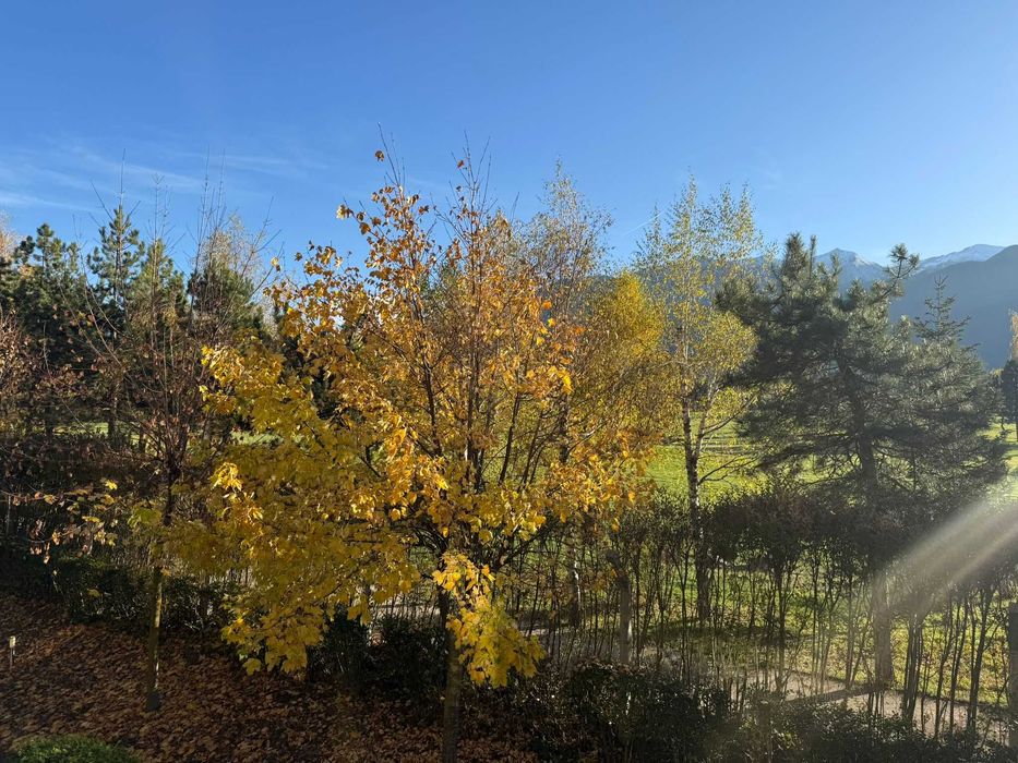 Продава се Тристаен апартамент в Разлог - 98 кв.м за 1205 €/кв.м - Снимка #11