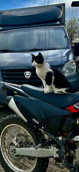 Грузоперевозки газель