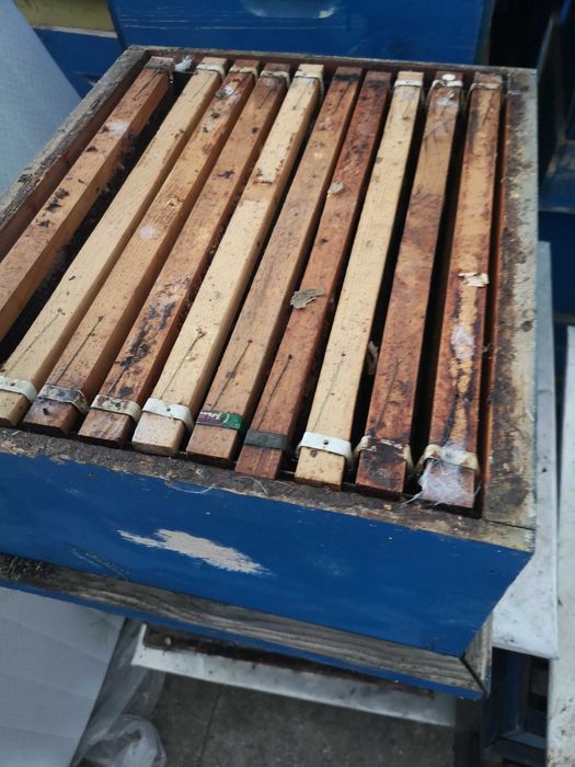 Продавам пчелни кошери