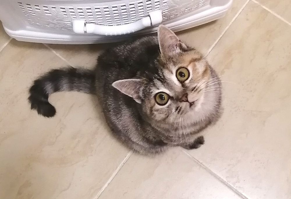 Ася -загадка ищет своего человека