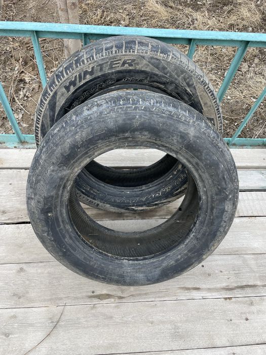 Буу балондар бар спринтерден шыккан