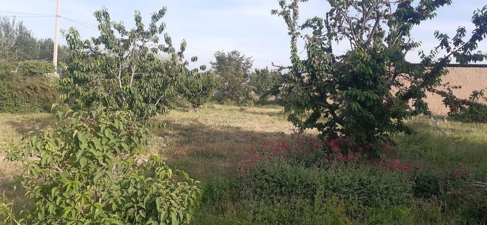 Hovli sotiladi zudlik bilan