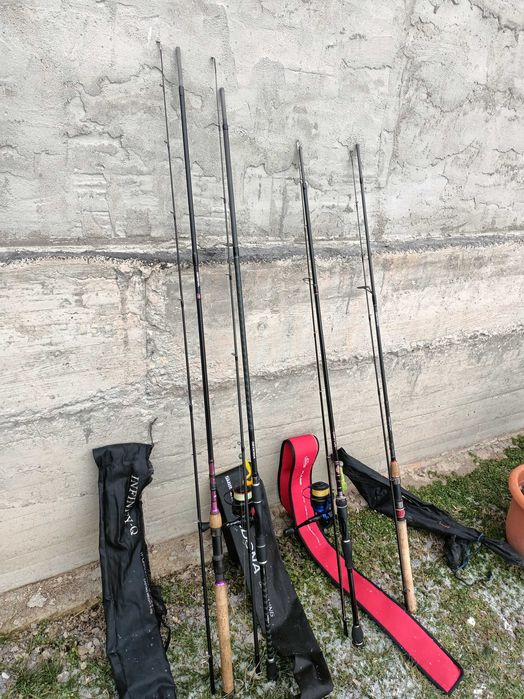 Lansete spinning Shimano pentru pescuit la șalău pe Dunăre.