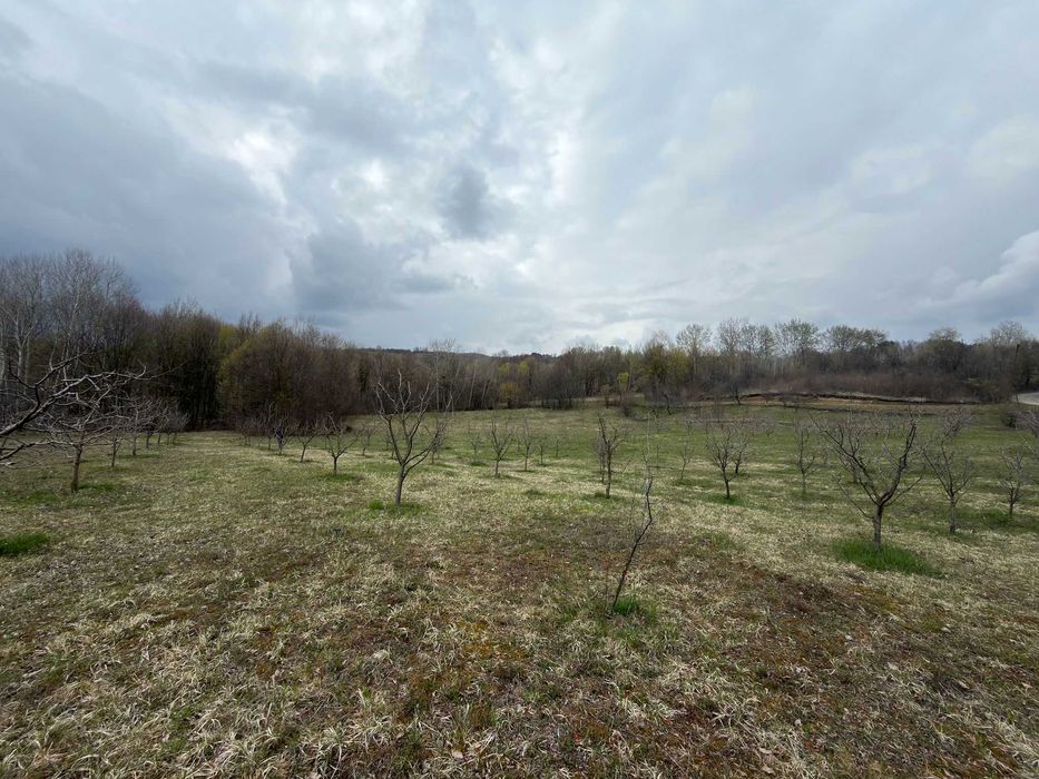 Teren / grădină de vânzare în Barbuletu, judetul Dambovita –  8055 mp