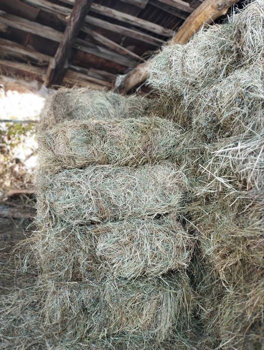 Press pchon, toza tikonsiz, standartdan kotta, 70 dona bor 35 mindan