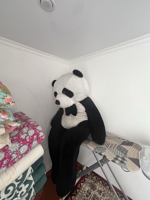 Жарты багасына беремын