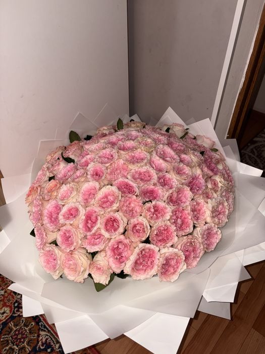 пионивидная роза 101