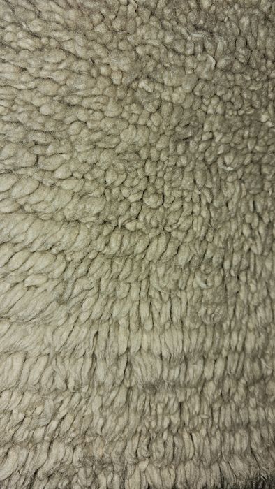 Бежов китеник втора употреба