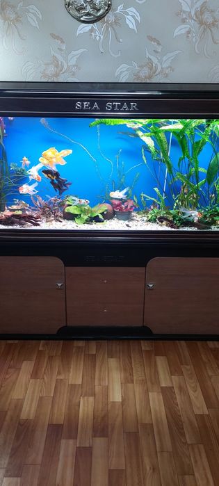 Продам заводской аквариум