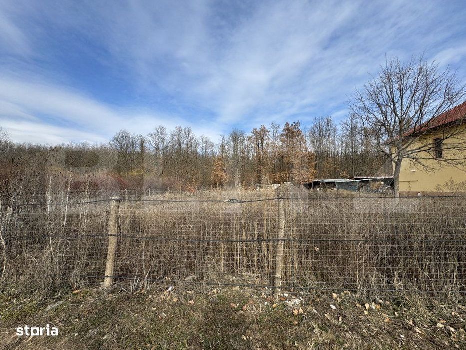 Teren 950 mp intravilan, zona Dragoieni