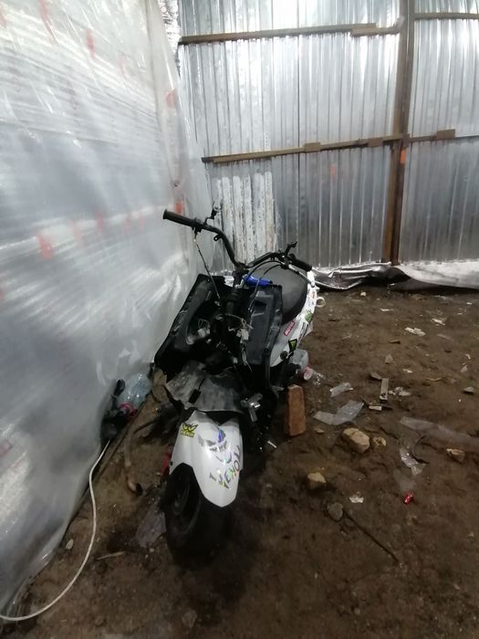 Продам мопед или обмен