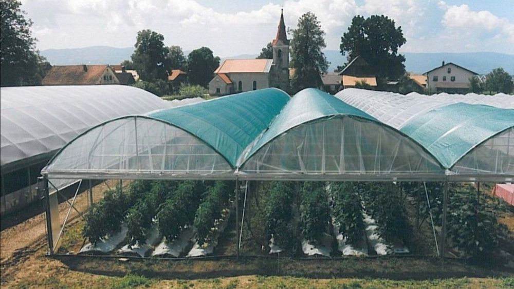 сетка затеняющая 55 затенения. парник greenhouse т-21. сетка затеняющая для теплиц 30-35%. сетка затеняющая shade netразмер3м/50. сетка затеняющая shade net.