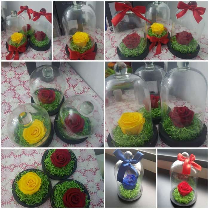 Cadou trandafir criogenat cupola sticla