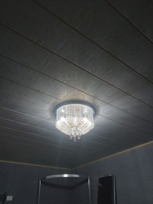 Люистра блутозли музикалний