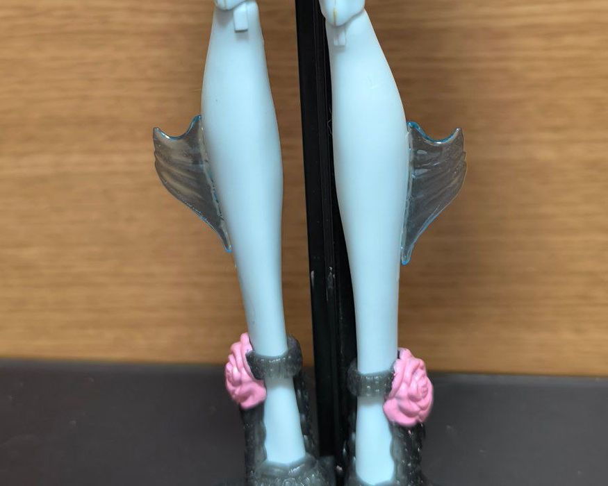 Vand accesori pentru pasusa Monster high
