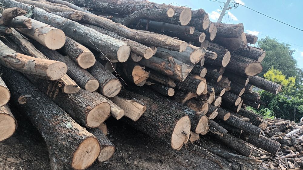 Lemne de foc sparte si uscate ,esență tare. Livrare gratuita in jud TR