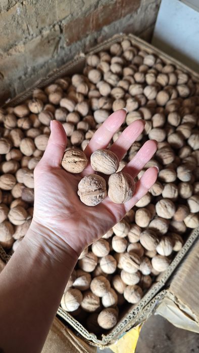 Коробка грецких орехов 15–20 кг