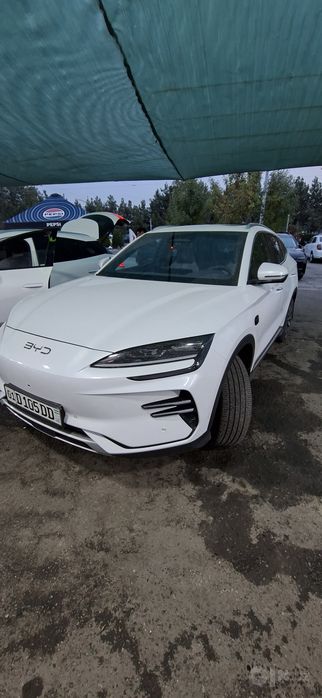 BYD Chempion smart