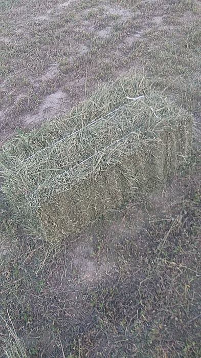 Beda sotiladi 90 talik