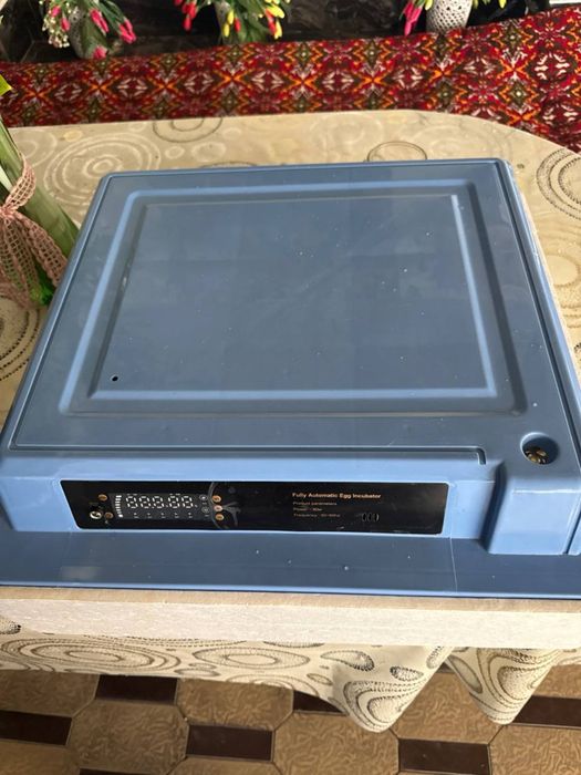 Inkubator tuxum o’chtirish uchun holati a’lo