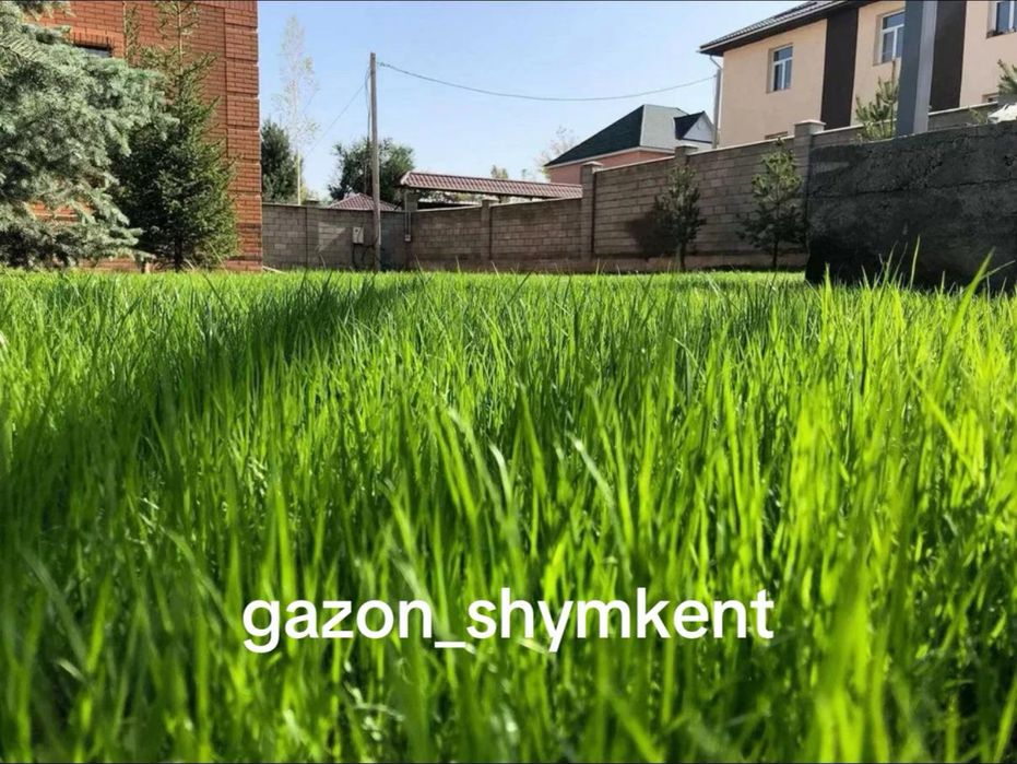 Газон Автопалив ландшафтныи дизаин